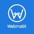 Webmatix Logo